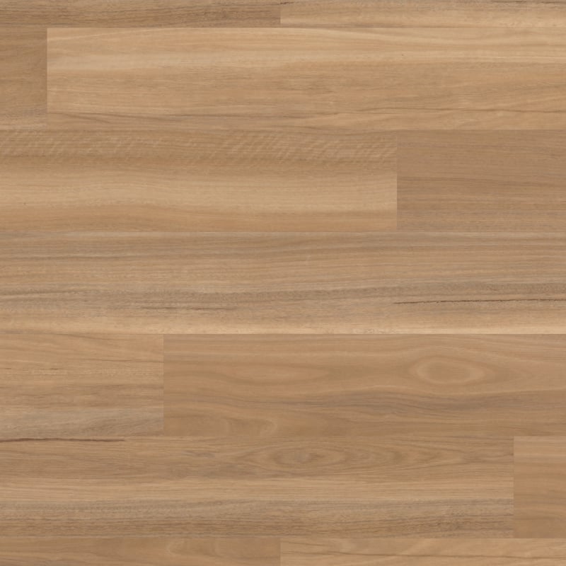 River Spotted Gum SCB-VGW131T
