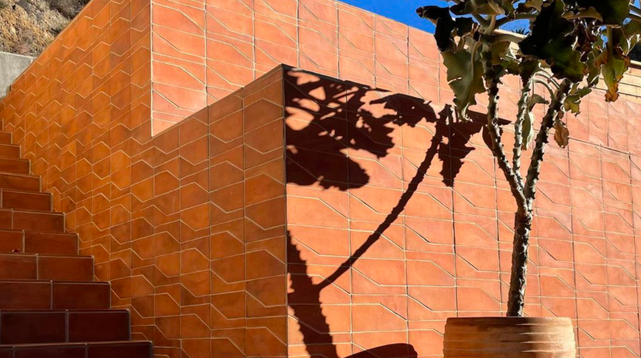 Terracotta tiled building with a potted desert tree in front