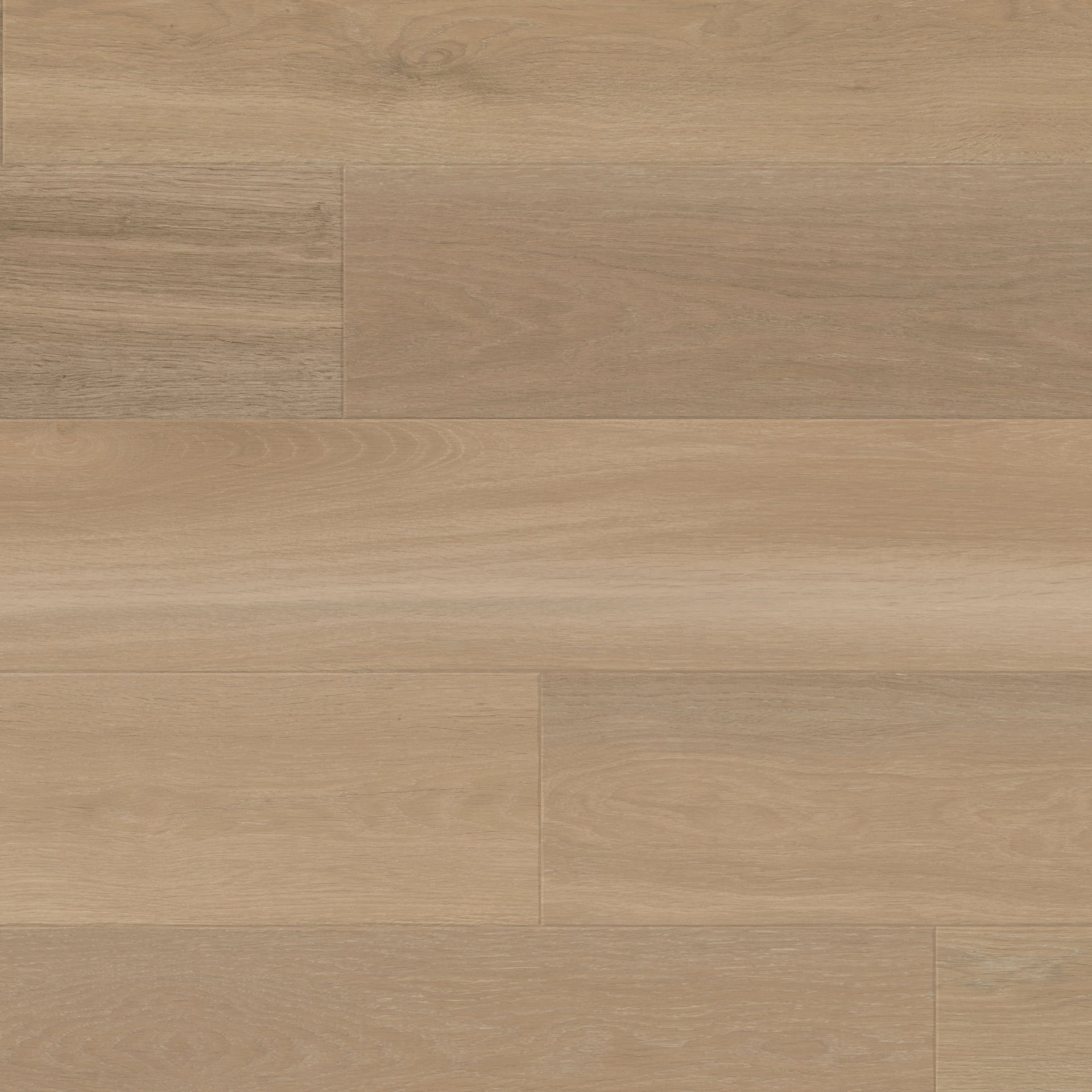 Art Select | Dune Oak RL24
