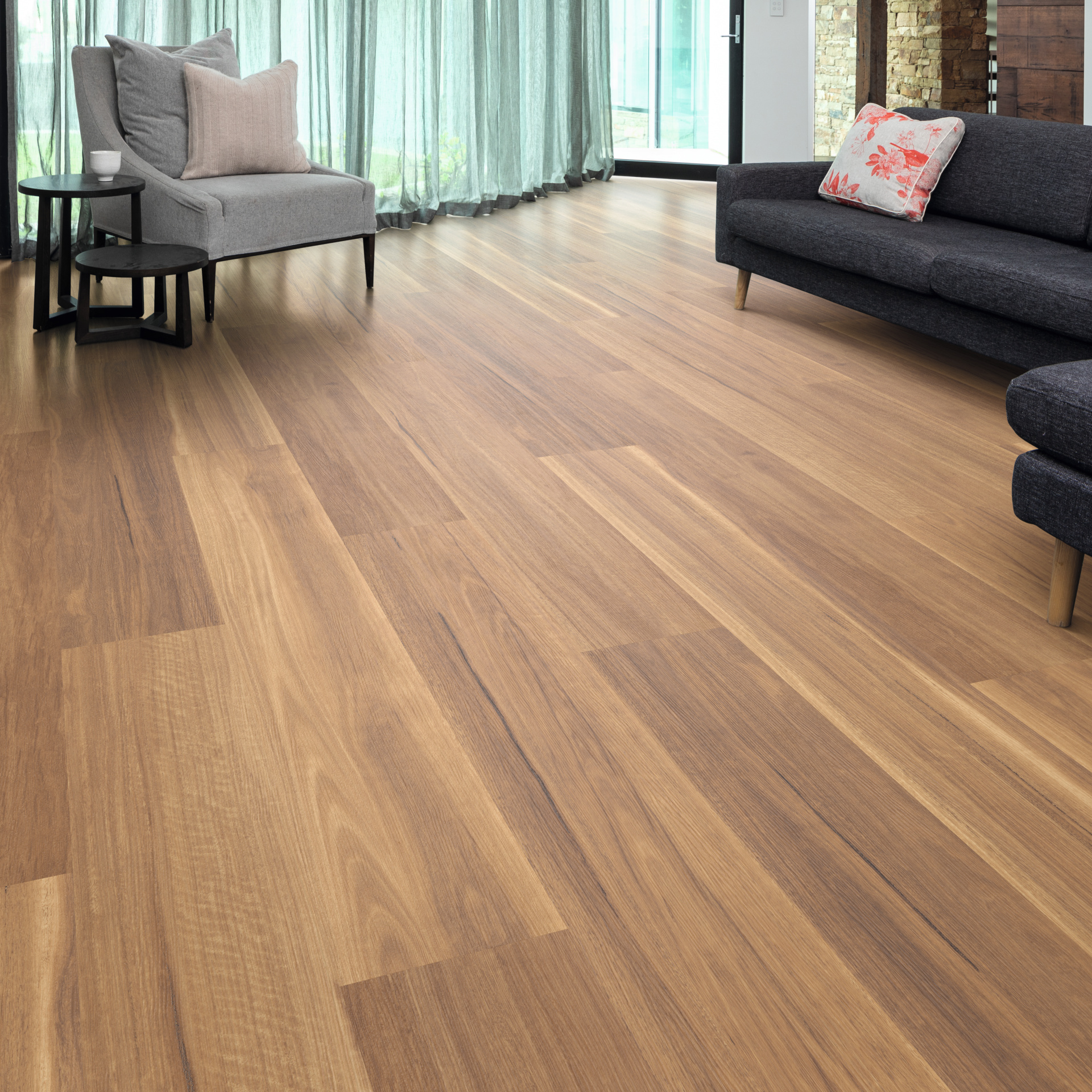 Mountain Spotted Gum