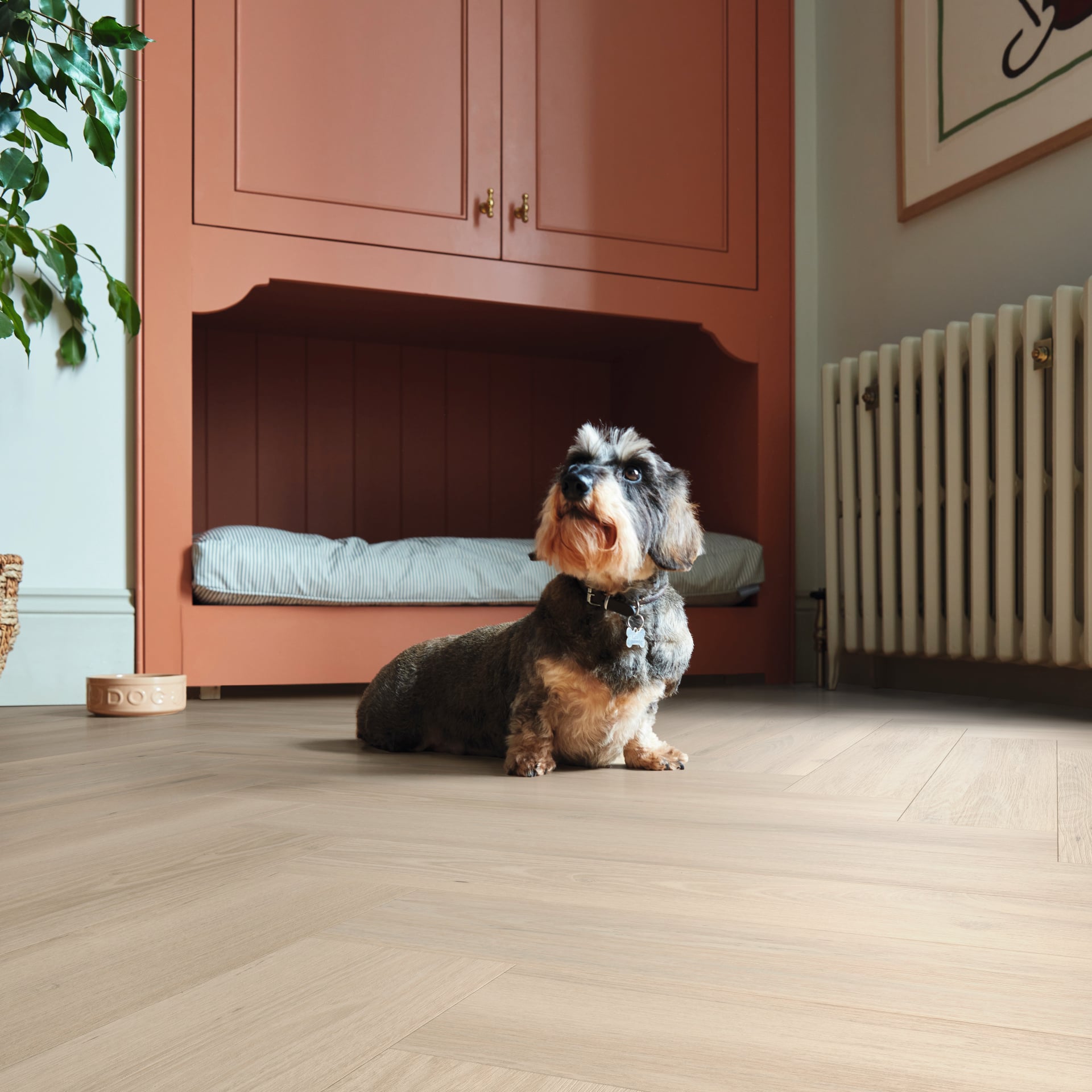 Knight Tile | Norfolk Acacia KP159